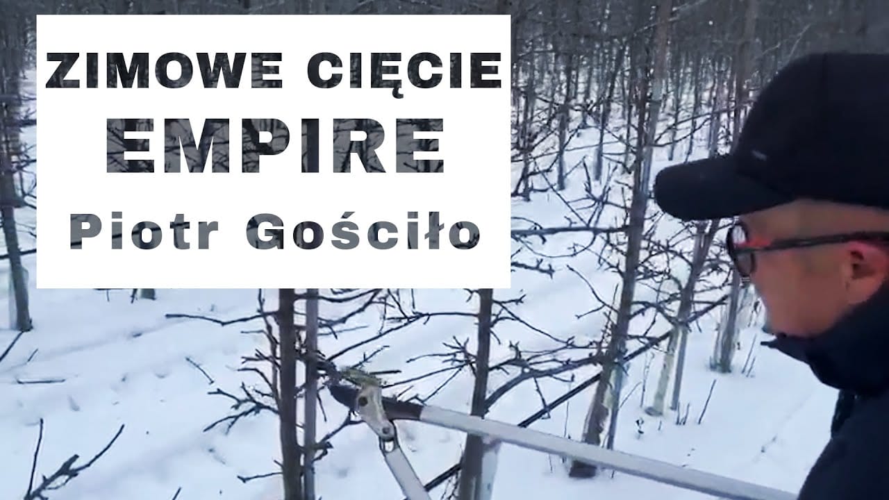 Empire - zimowe cięcie. Komunikat Sadowniczy - Piotr Gościło