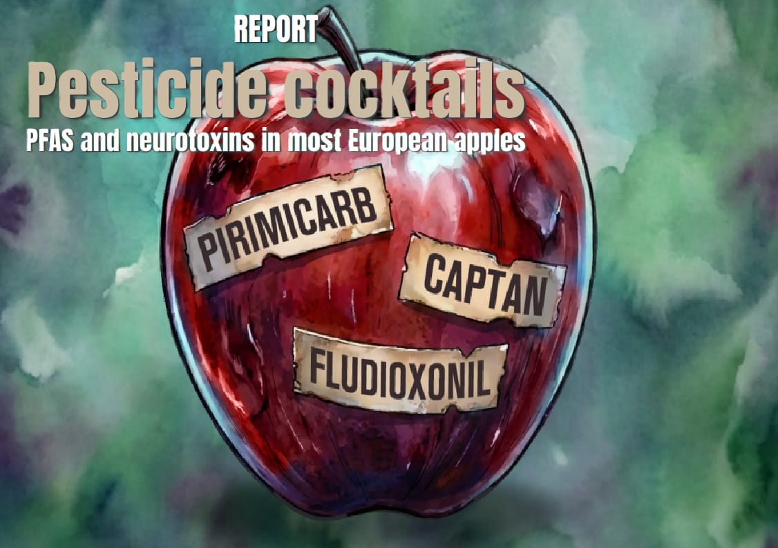 „Koktajl pestycydowy” w jabłkach – jak media kreują panikę