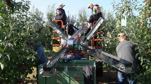 300 tysięcy złotych dotacji na sprzęt rolniczy. O co pytają rolnicy?