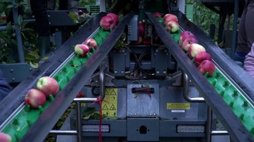 Rusza nabór na inwestycje w gospodarstwach rolnych zwiększające konkurencyjność