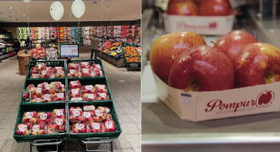 Pompur – jabłka przyjazne dla alergików trafiają do sklepów