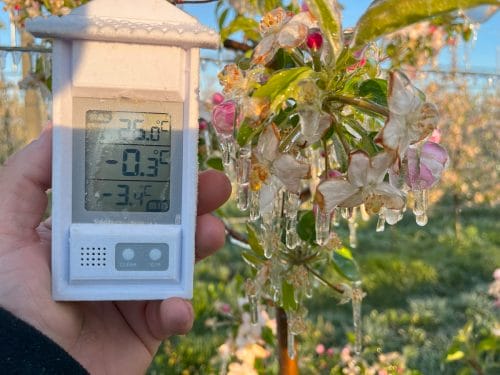 Przymrozek, grad, huragan – zwykłe ubezpieczenie to za mało