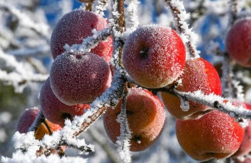 Nadchodzi zima. Gdzie i kiedy spadnie śnieg?