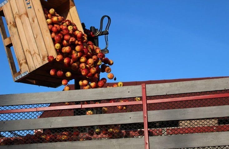 W oczekiwaniu na wzrost cen 