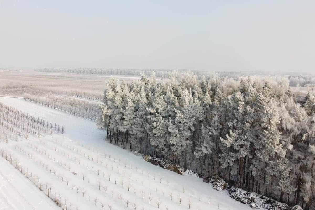 Ostry mróz w Polsce: temperatura spadnie nawet do -35°C