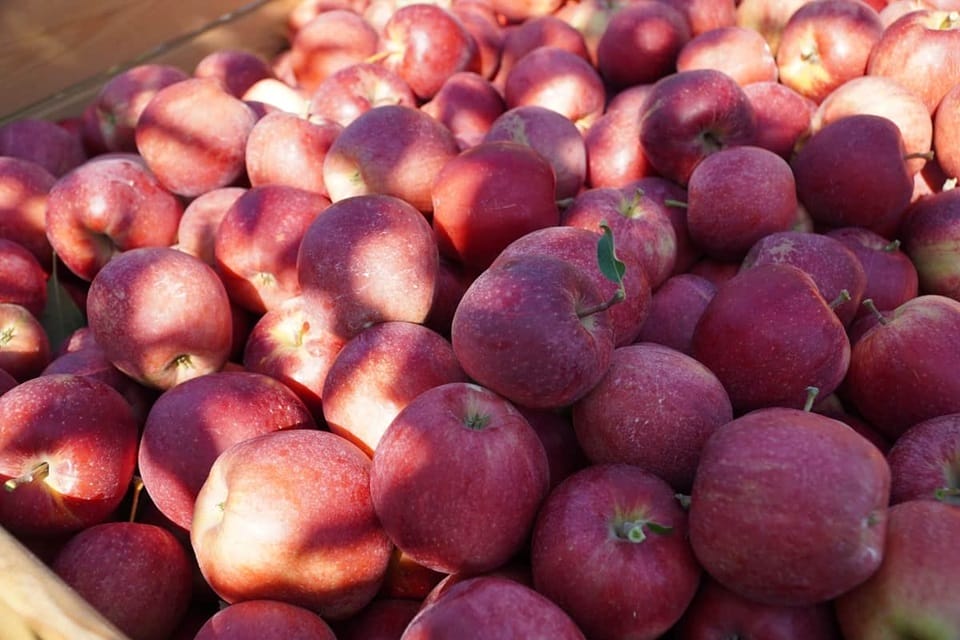 Azja zwiększa import owoców, a Polska intensyfikuje działania promocyjne