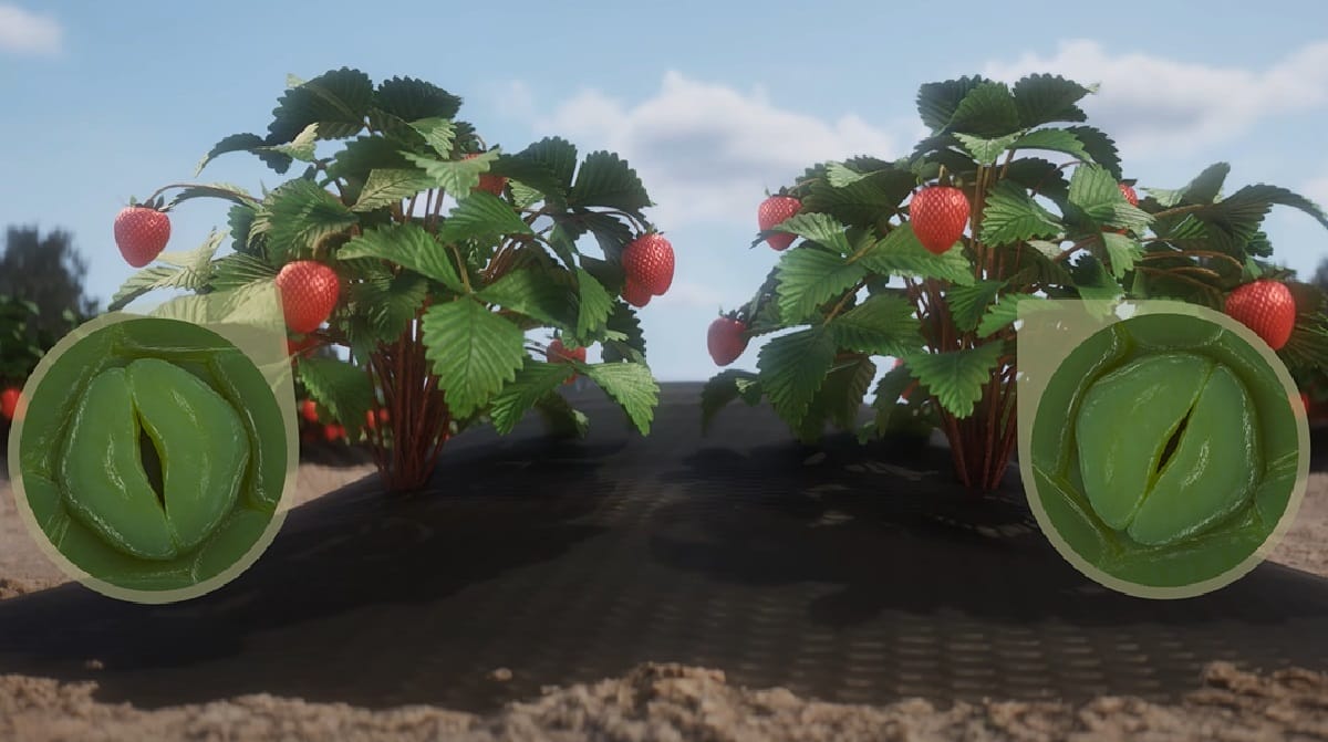 Przełomowe rozwiązanie w ochronie roślin przed stresem 