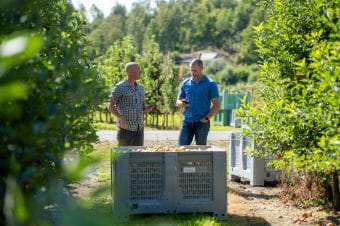 Przetrwać nowe zasady produkcji owoców