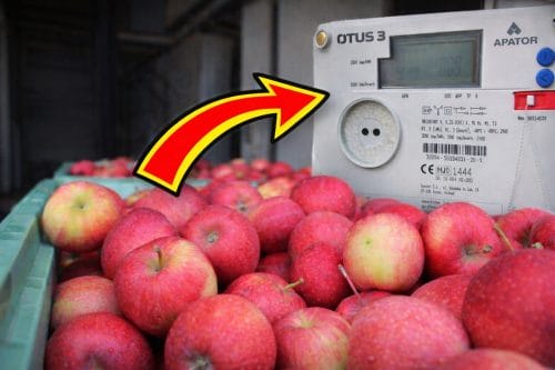 Uwaga rolnicy! Brak tego dokumentu może podwoić Wasze rachunki za prąd