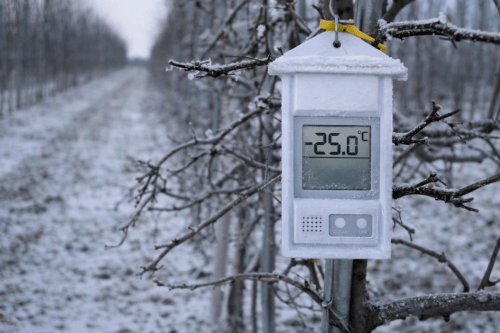 Przed nami wyjątkowo mroźny weekend: nocami nawet -25°C!