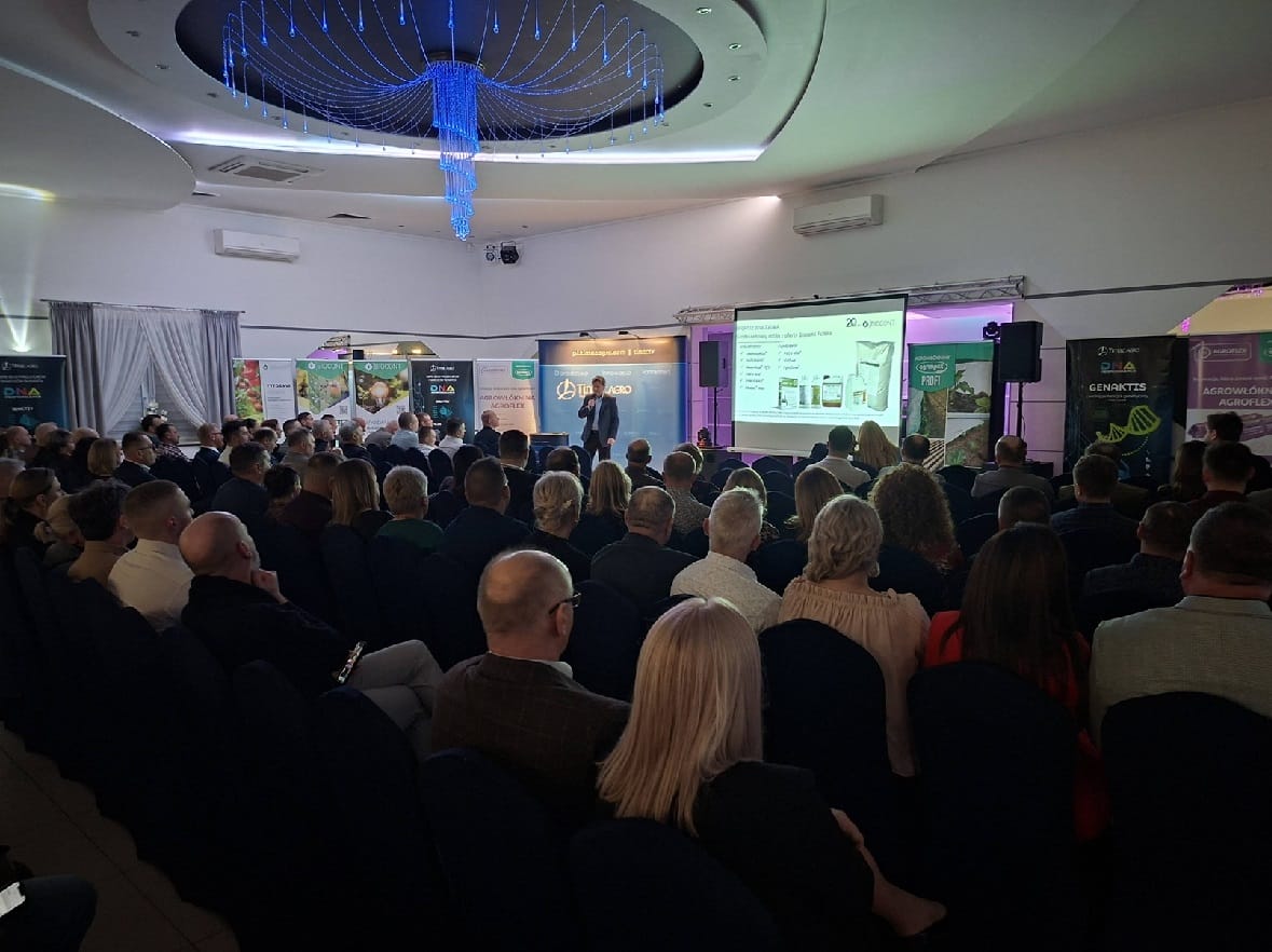 Truskawkowy Vip Room praktyczne inspiracje dla producentów owoców miękkich