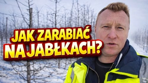 Jak zarabiać na jabłkach?