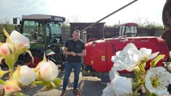 Grusze – biały pąk/początek kwitnienia – ochrona i nawożenie, 17.04.2026