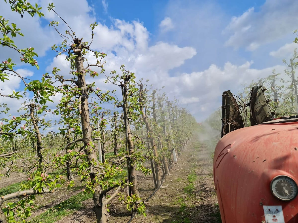 Jak nie stracić plonów i dotacji UE?