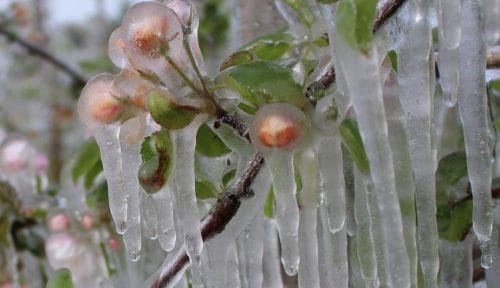 Najpierw mróz i wiatr, potem słońce i 25°C