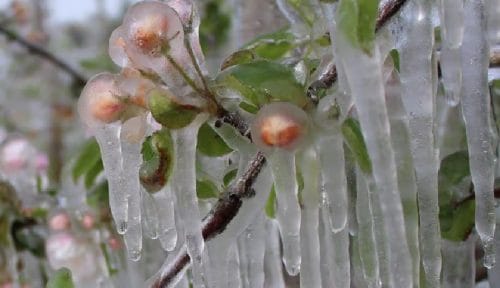 Przymrozki w całym kraju. Noc przyniesie nawet -6°C