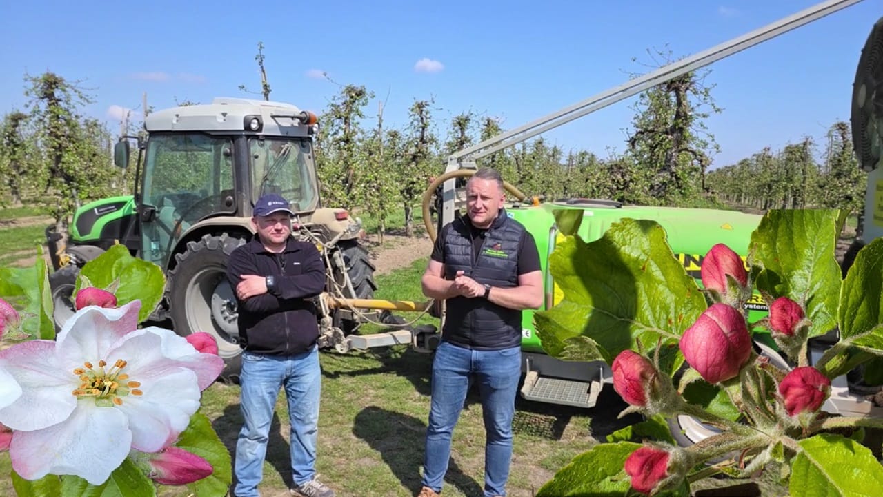 Jabłonie w fazie różowego pąka - ochrona i nawożenie, 18.04.2026