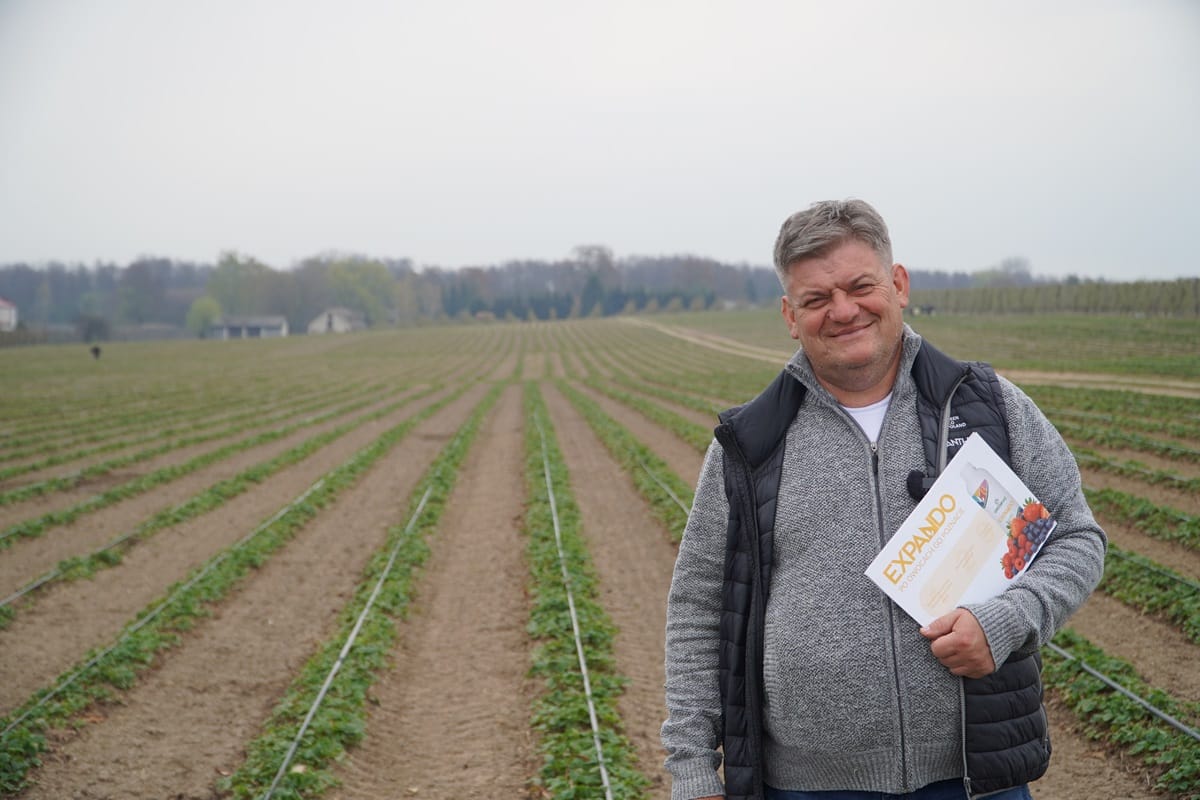 Start truskawek – fertygacja i regeneracja plantacji po zimie, Zbigniew Marek, 15.04.2026