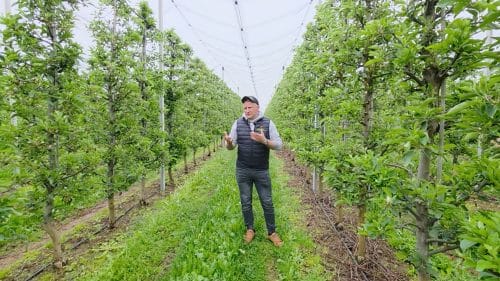 Silna presja parcha jabłoni i zarazy ogniowej, Dariusz Ziarko, 18.05.2026