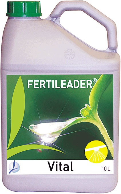 Fertileader VITAL