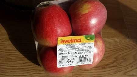 evelinabiedronka
