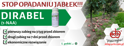 Dirabel
