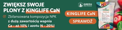 Kinglife