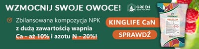 Kinglife