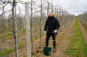 Jak prawidłowo pobrać próbki gleby do analizy?